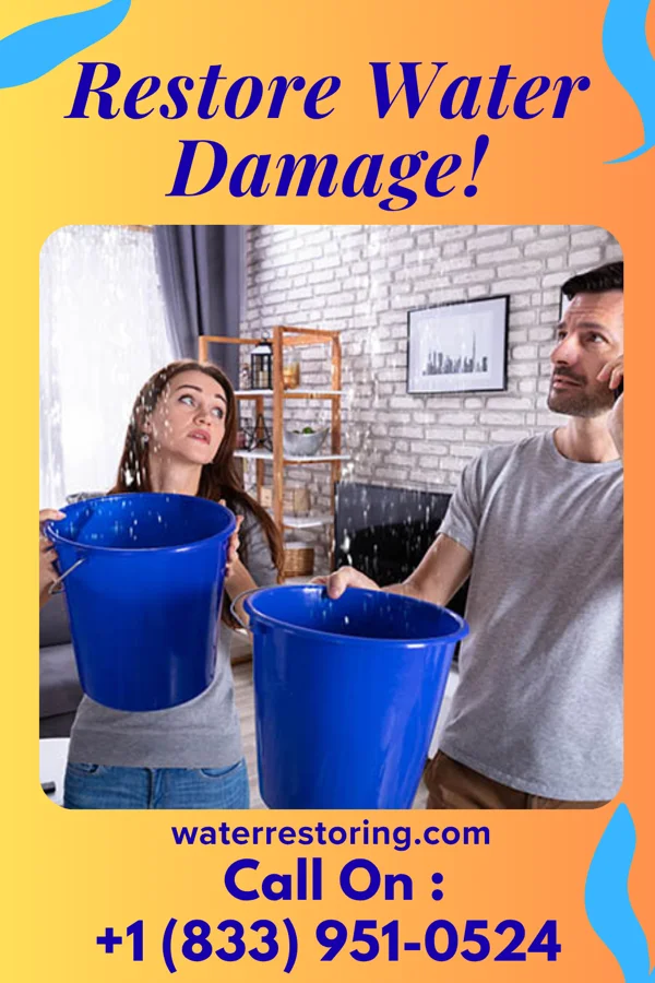 water restoration New Water Damage Team Chimney Hill