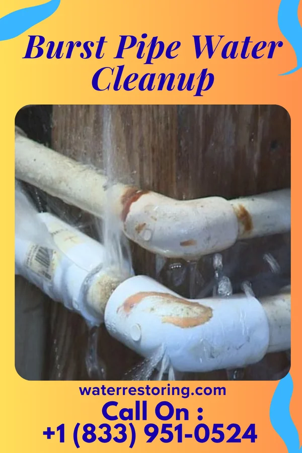 Burst Pipe Water Cleanup in Chimney Hill, VT