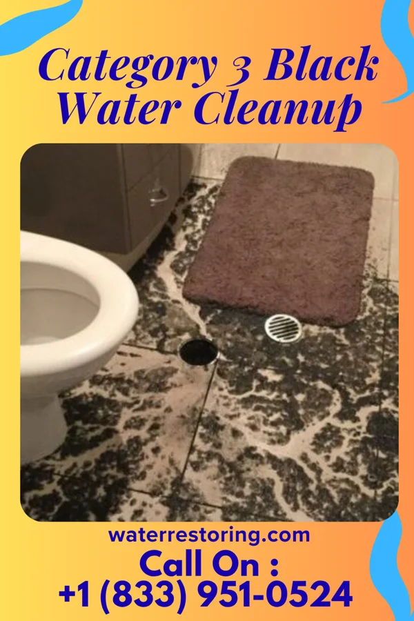 Category 3 Black Water Cleanup in Chimney Hill, VT