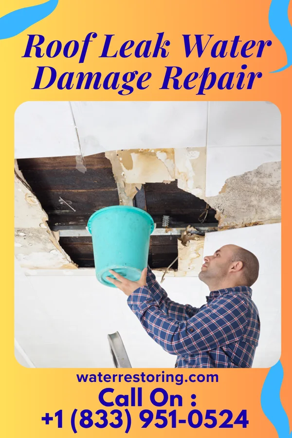 Roof Leak Water Damage Repair in Chimney Hill, VT