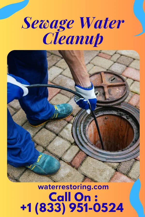 Sewage Water Cleanup in Chimney Hill, VT