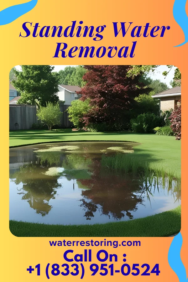 Standing Water Removal in Chimney Hill, VT